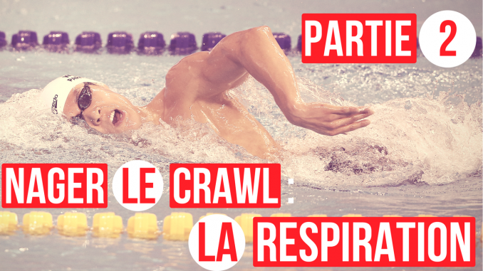 nager_le_crawl_respiration_partie2 La respiration en crawl ! (partie 2/3) Un repère en OR