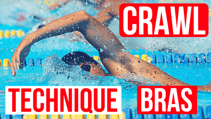 technique-bras-crawl La technique des bras en crawl